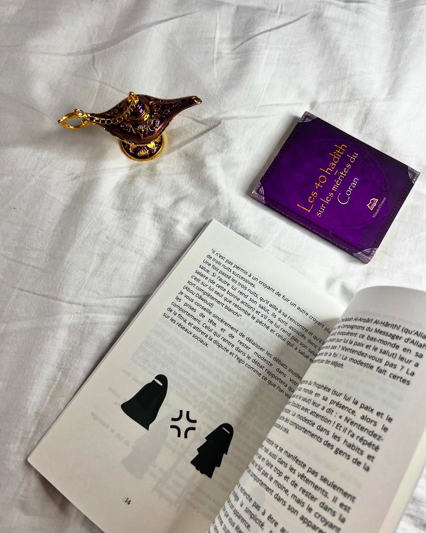 LE LIVRE DE RAPPELS