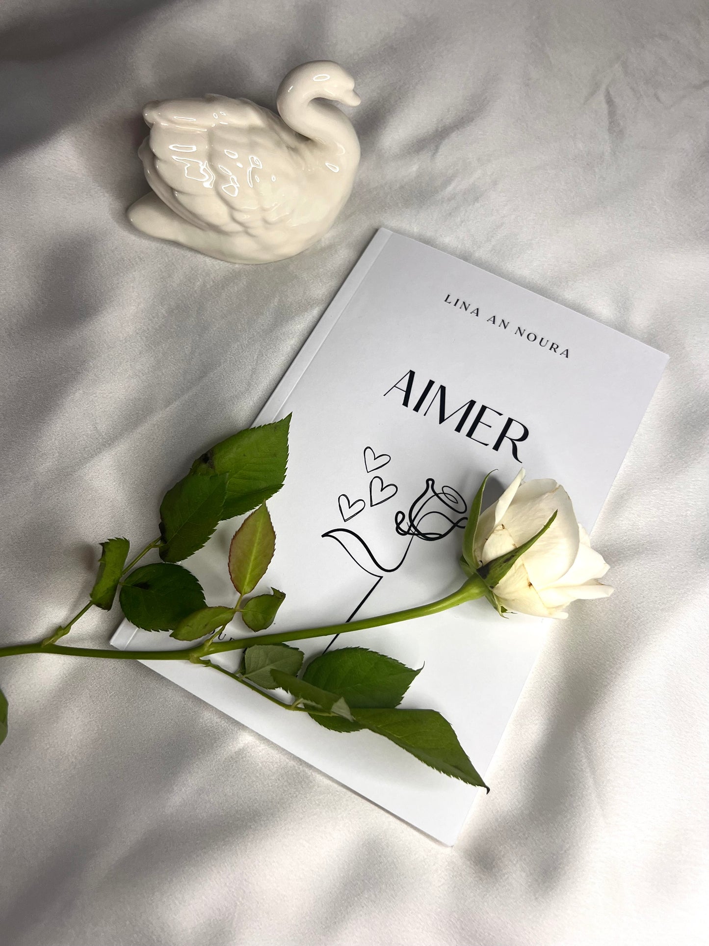 AIMER