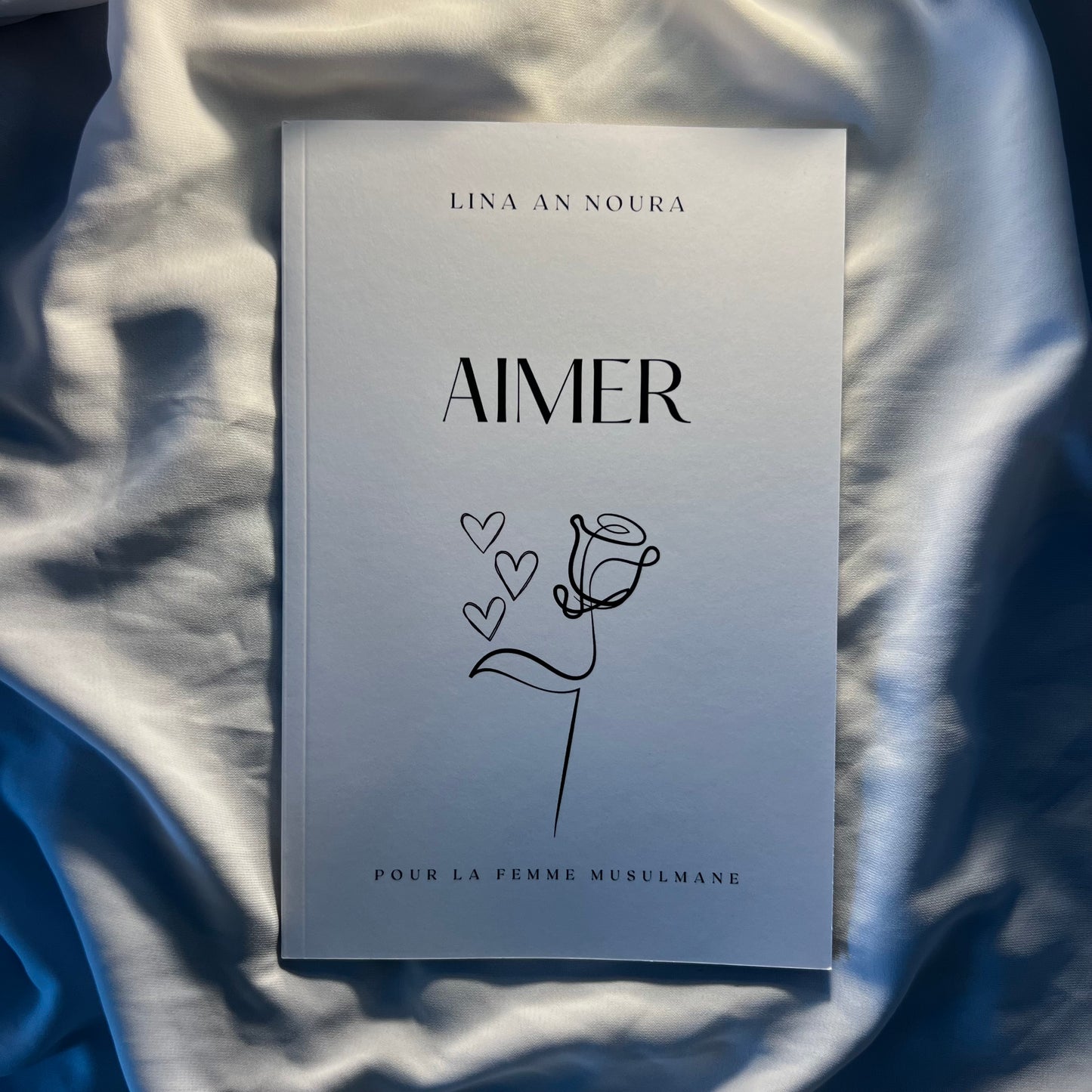 AIMER
