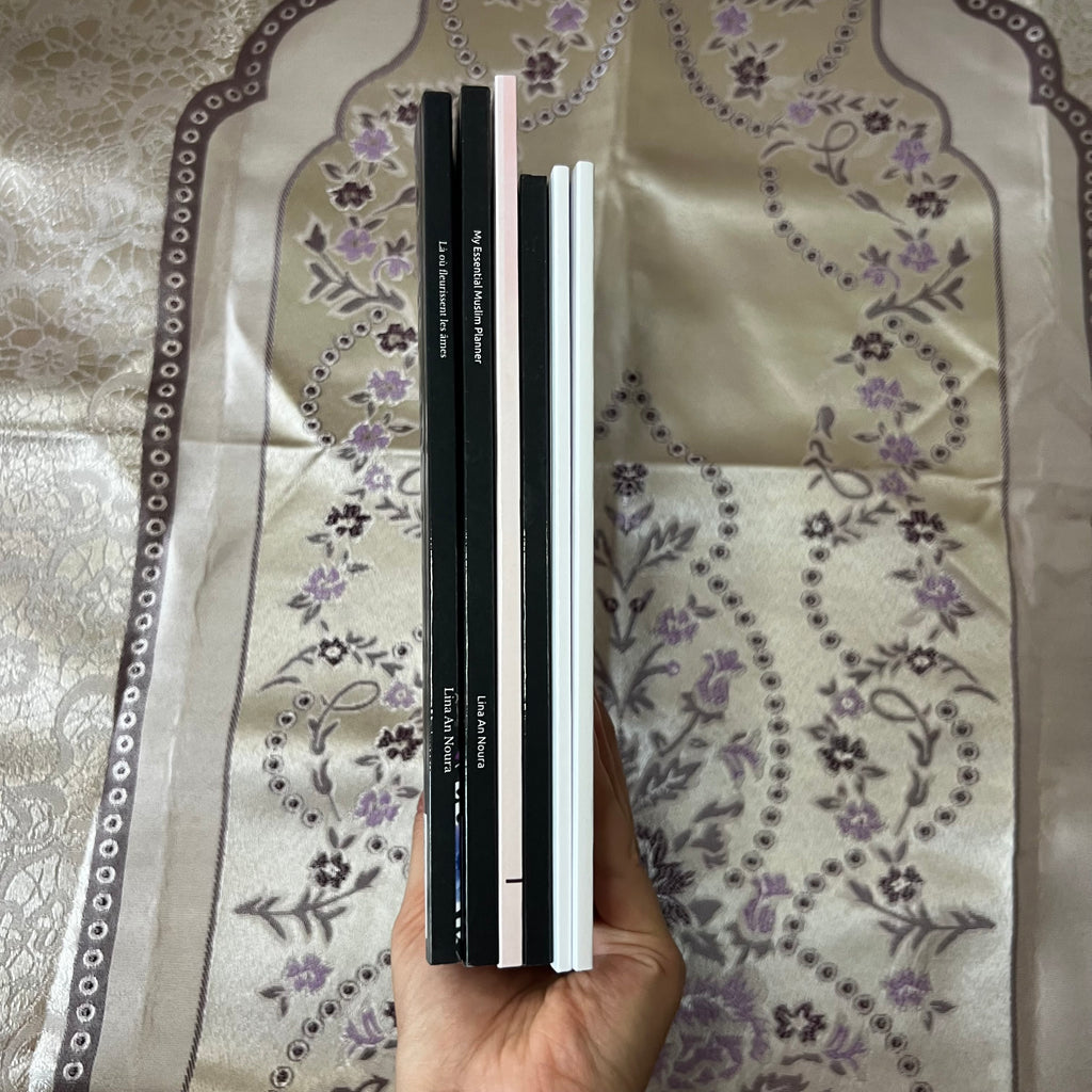 PACK DE 6 LIVRES/EBOOKS