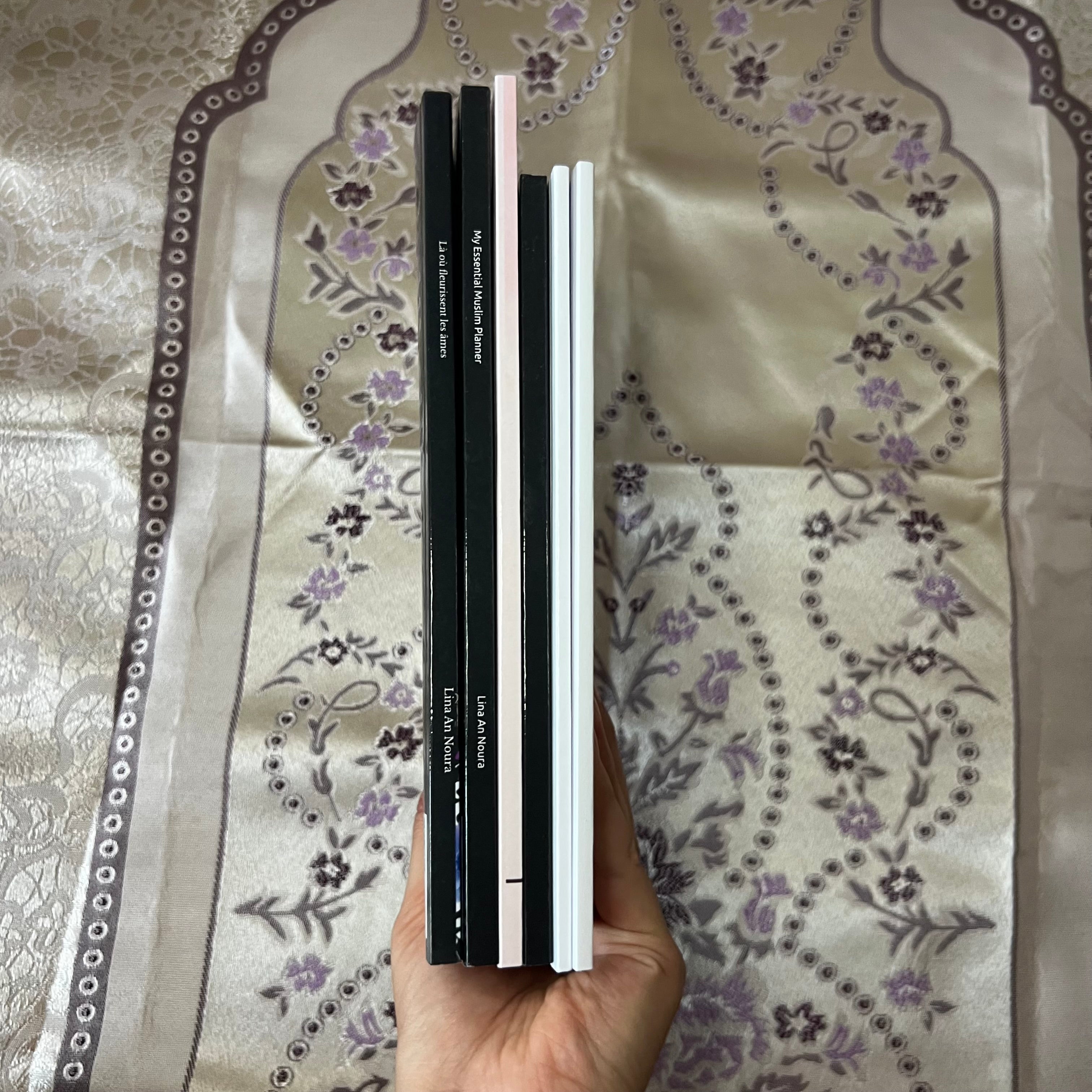 PACK DE 6 LIVRES/EBOOKS