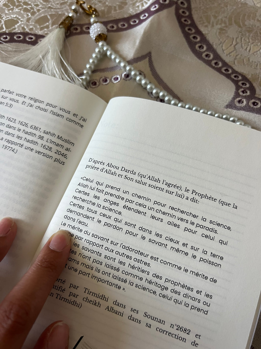 LE LIVRE DE RAPPELS