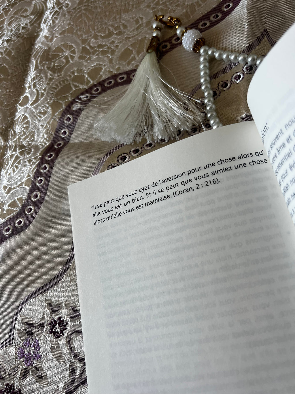 LE LIVRE DE RAPPELS