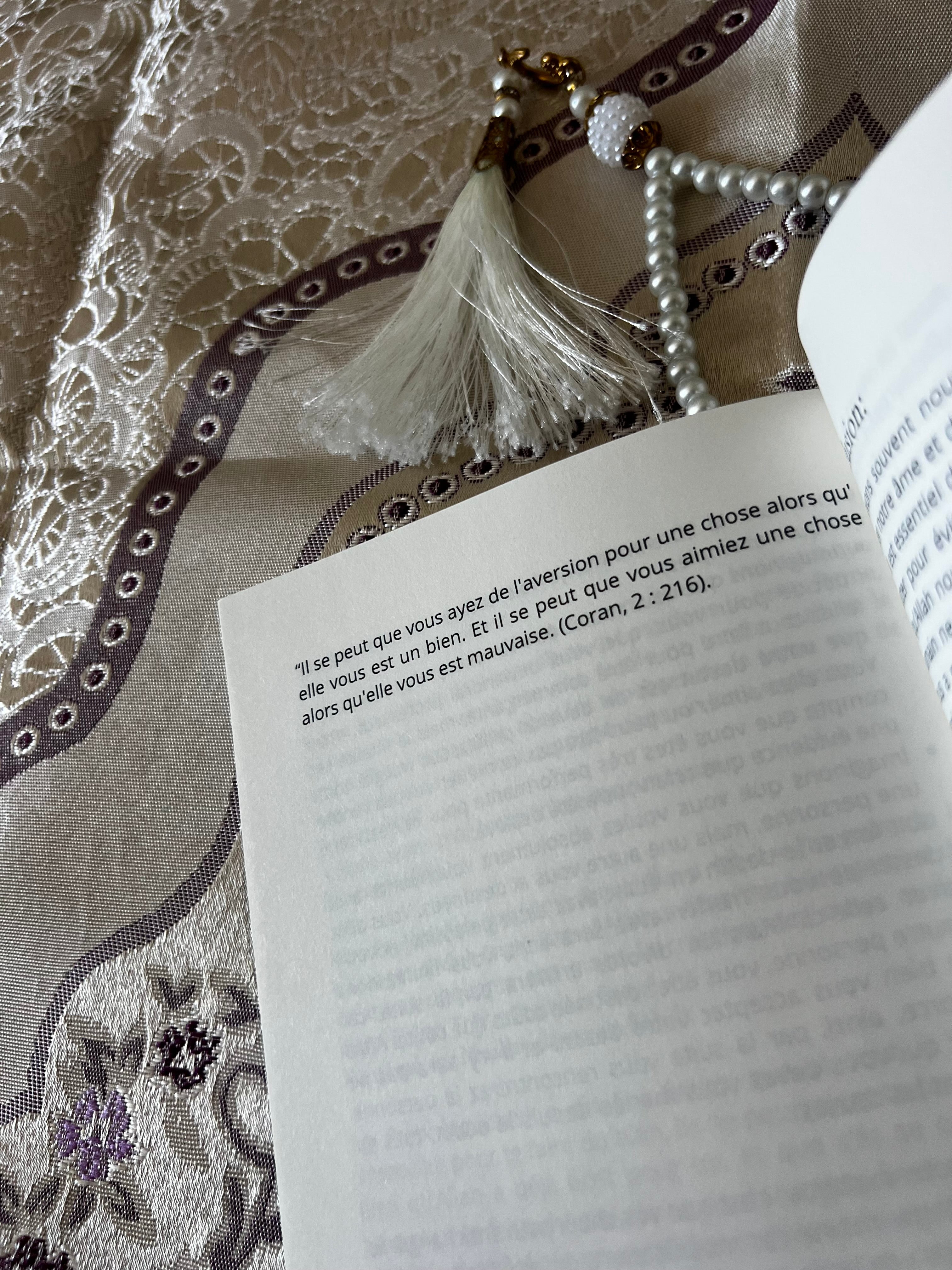 LE LIVRE DE RAPPELS